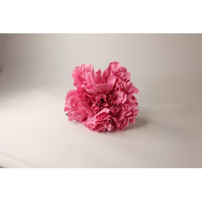 Peonía grande rosa empolvado