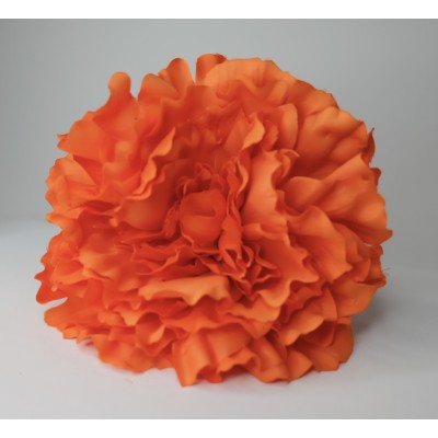 Peonía grande coral