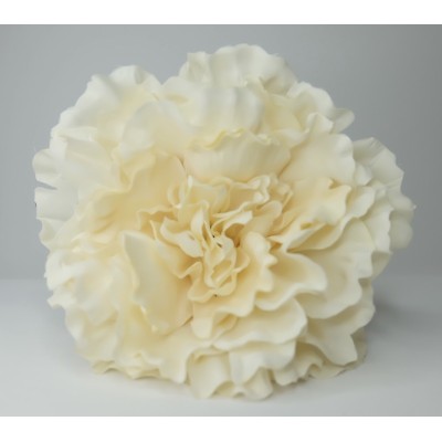 Peonía grande beige