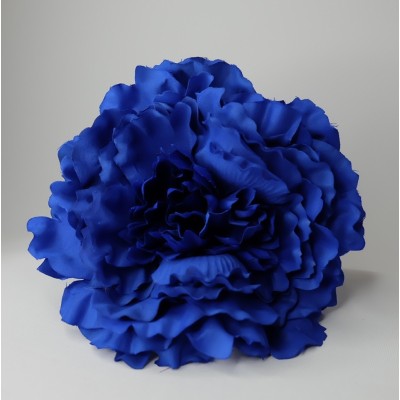 Peonía grande azul klein