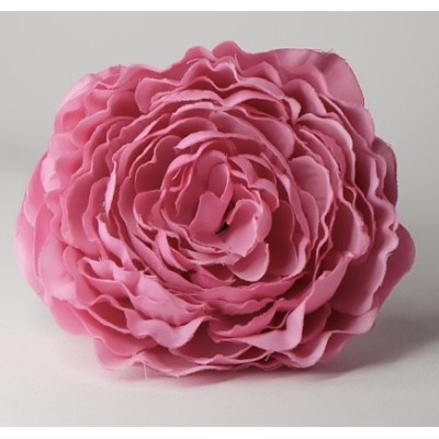 Peonía pequeña rosa