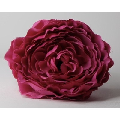 Peonia pequeña buganvilla