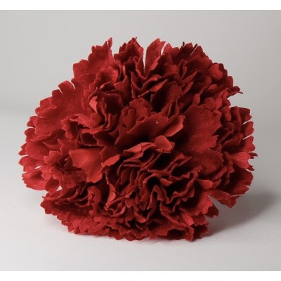 Claveles Terciopelo Rojo