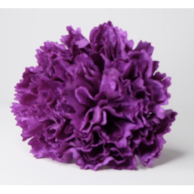 Claveles Terciopelo Morado