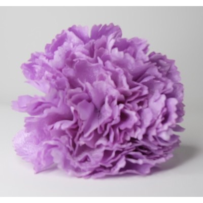 Claveles Terciopelo Lila