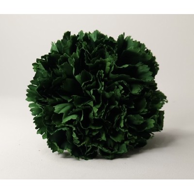 Claveles Verde botella