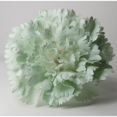 Claveles Pintado Verde Agua