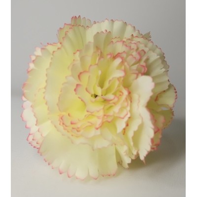 Clavel Pintado Beige/Rosa