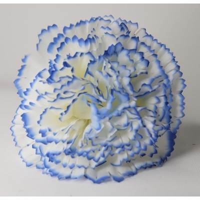 Claveles Pintado Beige /Azul