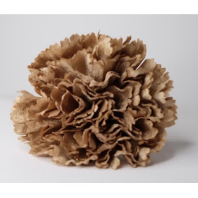 Claveles Terciopelo Ocre