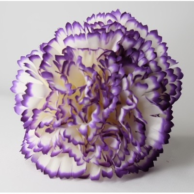 Claveles Pintado Beige/Morado