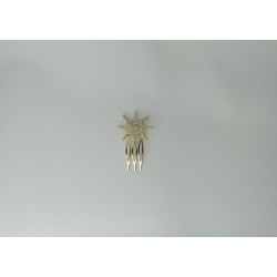 Peina estrella dorado