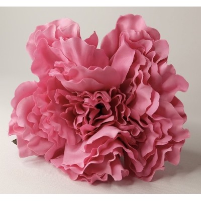 Peonía grande rosa empolvado